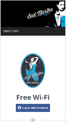 WiFi Landing Page Example 4