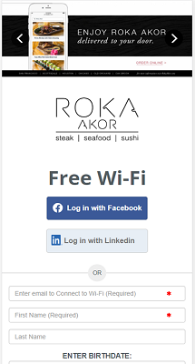 WiFi Landing Page Example 3