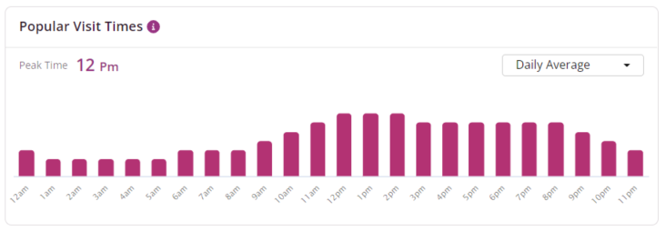 CDP Insights - Popular Visit Times